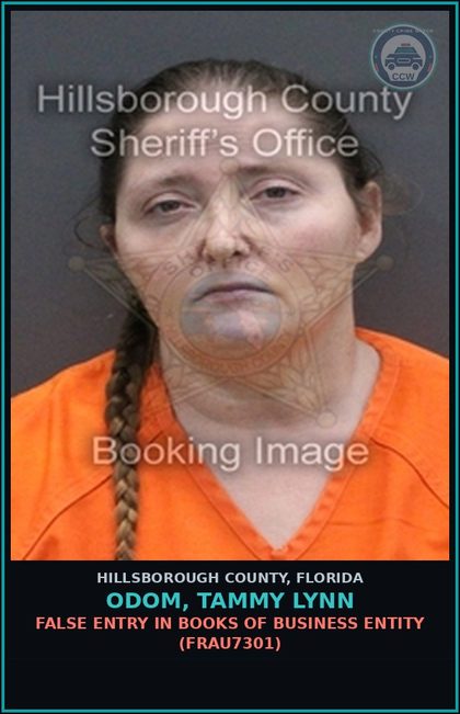 CCW arrest card for ODOM, TAMMY LYNN in Hillsborough County: FALSE ENTRY IN BOOKS OF BUSINESS ENTITY (FRAU7301)