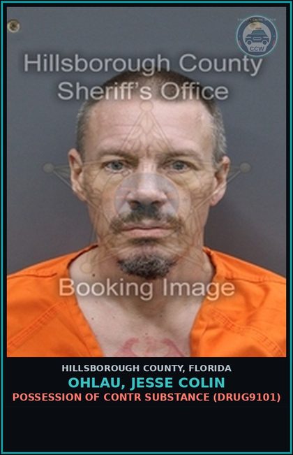 CCW arrest card for OHLAU, JESSE COLIN in Hillsborough County: POSSESSION OF contr substance (DRUG9101)