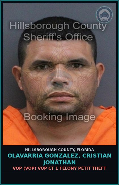 CCW arrest card for OLAVARRIA GONZALEZ, CRISTIAN JONATHAN in Hillsborough County: VOP (VOP) VOP CT 1 RETAIL THEFT FROM MULTI LOCATIONS ($750 OR MORE)