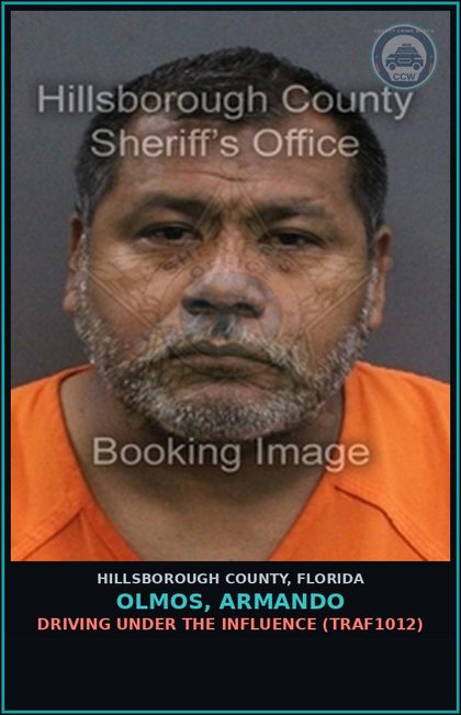 CCW arrest card for OLMOS, ARMANDO in Hillsborough County: DRIVING UNDER THE INFLUENCE (TRAF1012)