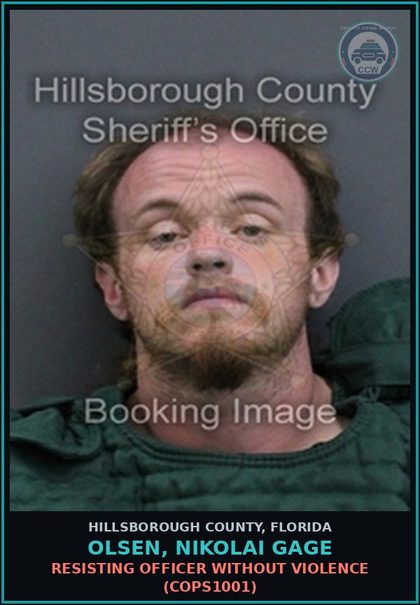 CCW arrest card for OLSEN, NIKOLAI GAGE in Hillsborough County: RESISTING OFFICER WITHOUT VIOLENCE (COPS1001)