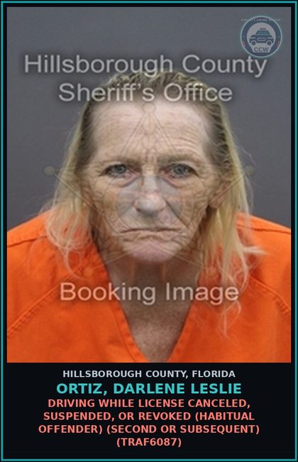 CCW arrest card for ORTIZ, DARLENE LESLIE in Hillsborough County: DRIVING WHILE LICENSE CANCELED, SUSPENDED, OR REVOKED (HABITUAL OFFENDER) (SECOND OR SUBSEQUENT) (TRAF6087)