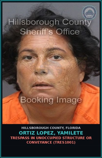 CCW arrest card for ORTIZ LOPEZ, YAMILETE in Hillsborough County: VOP (VOP) DRIVING UNDER THE INFLUENCE