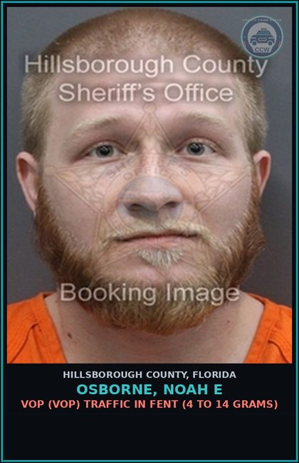 CCW arrest card for OSBORNE, NOAH E in Hillsborough County: VOP (VOP) TRAFFIC IN Fent (4 TO 14 GRAMS)