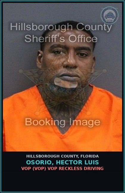 CCW arrest card for OSORIO, HECTOR LUIS in Hillsborough County: VOP (VOP) VOP RECKLESS DRIVING