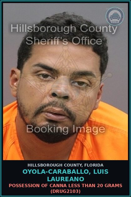 CCW arrest card for OYOLA-CARABALLO, LUIS LAUREANO in Hillsborough County: NO VALID MOTORCYCLE LICENSE (TRAF5120)