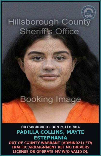 CCW arrest card for PADILLA COLLINS, MAYTE ESTEPHANIA in Hillsborough County: OUT OF COUNTY WARRANT (ADMIN021) FTA TRAFFIC ARRAIGNMENT REF NO DRIVERS LICENSE OR OPERATE MV W/O VALID DL