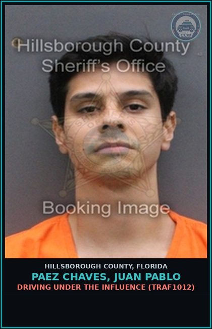 CCW arrest card for PAEZ CHAVES, JUAN PABLO in Hillsborough County: DRIVING UNDER THE INFLUENCE (TRAF1012)