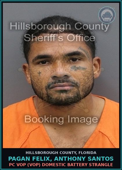 CCW arrest card for PAGAN FELIX, ANTHONY SANTOS in Hillsborough County: PC VOP (VOP) DOMESTIC BATTERY STRANGLE