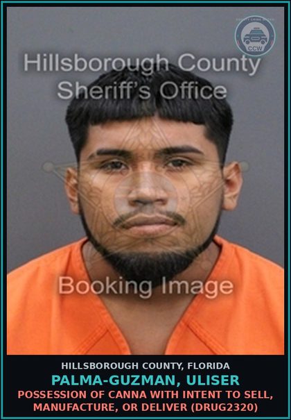 CCW arrest card for PALMA-GUZMAN, ULISER in Hillsborough County: DELIVERY OF LESS THAN 20 GRAMS OF Canna (DRUG2212)