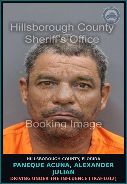CCW arrest card for PANEQUE ACUNA, ALEXANDER JULIAN in Hillsborough County: DRIVING UNDER THE INFLUENCE (TRAF1012)