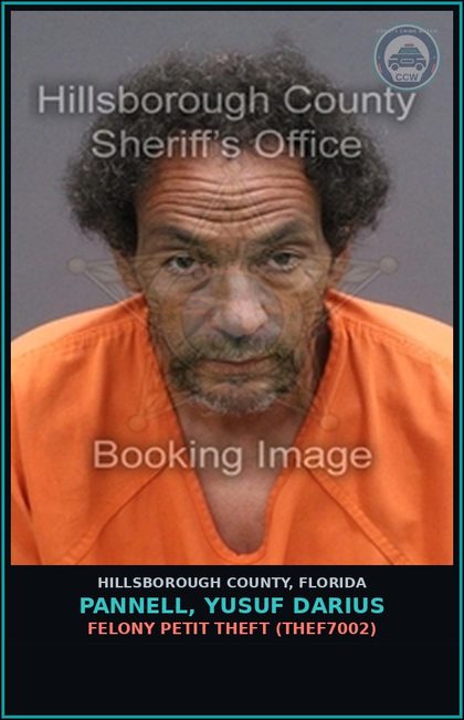 CCW arrest card for PANNELL, YUSUF DARIUS in Hillsborough County: FELONY PETIT THEFT (THEF7002)