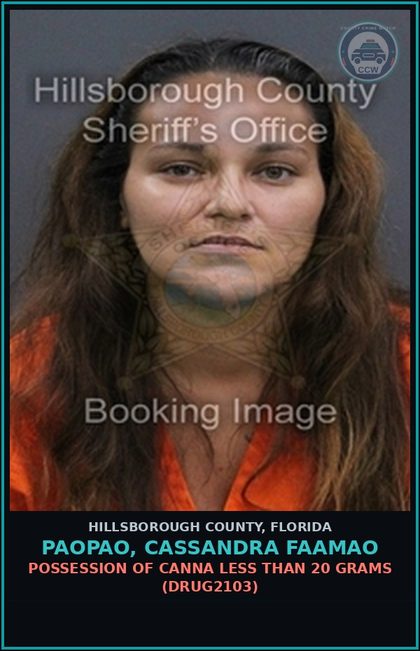 CCW arrest card for PAOPAO, CASSANDRA FAAMAO in Hillsborough County: POSSESSION OF Canna LESS THAN 20 GRAMS (DRUG2103)
