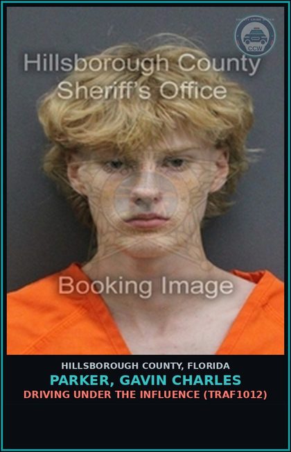 CCW arrest card for PARKER, GAVIN CHARLES in Hillsborough County: DRIVING UNDER THE INFLUENCE (TRAF1012)