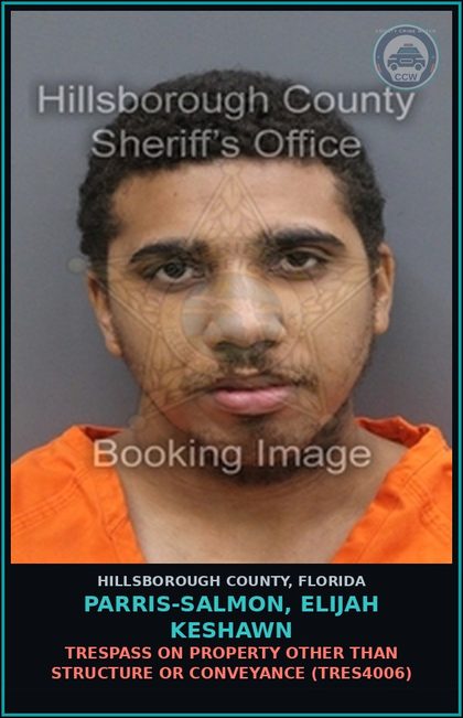 CCW arrest card for PARRIS-SALMON, ELIJAH KESHAWN in Hillsborough County: TRESPASS ON PROPERTY OTHER THAN STRUCTURE OR CONVEYANCE (TRES4006)
