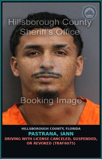 CCW arrest card for PASTRANA, IANN in Hillsborough County: DRIVING WITH LICENSE CANCELED, SUSPENDED, OR REVOKED (TRAF6075)