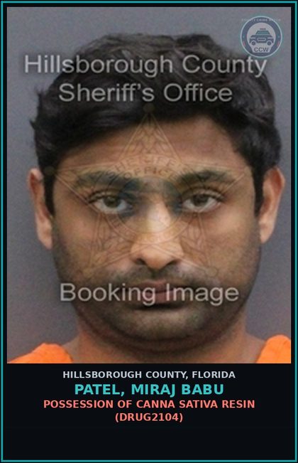 CCW arrest card for PATEL, MIRAJ BABU in Hillsborough County: POSSESSION OF Canna SATIVA RESIN (DRUG2104)