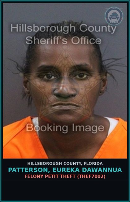 CCW arrest card for PATTERSON, EUREKA DAWANNUA in Hillsborough County: FELONY PETIT THEFT (THEF7002)