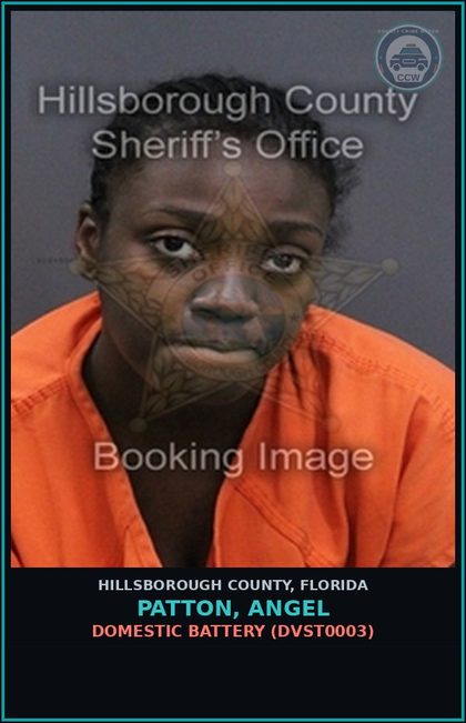 CCW arrest card for PATTON, ANGEL in Hillsborough County: DOMESTIC BATTERY (DVST0003)