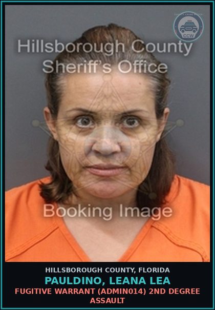 CCW arrest card for PAULDINO, LEANA LEA in Hillsborough County: FUGITIVE WARRANT (ADMIN014) 2ND DEGREE ASSAULT