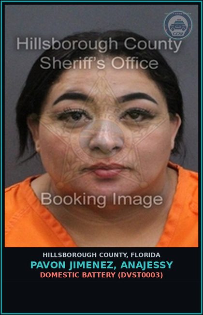 CCW arrest card for PAVON JIMENEZ, ANAJESSY in Hillsborough County: DOMESTIC BATTERY (DVST0003)