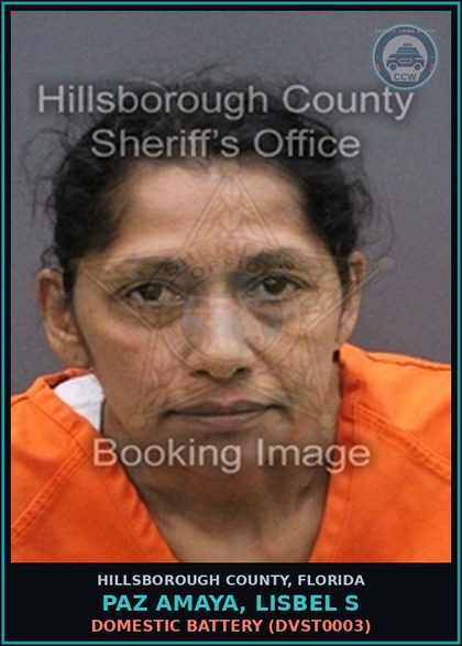 CCW arrest card for PAZ AMAYA, LISBEL S in Hillsborough County: DOMESTIC BATTERY (DVST0003)