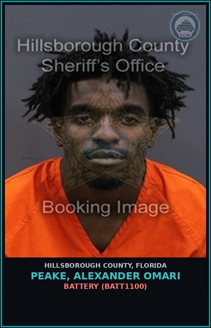CCW arrest card for PEAKE, ALEXANDER OMARI in Hillsborough County: BATTERY (BATT1100)