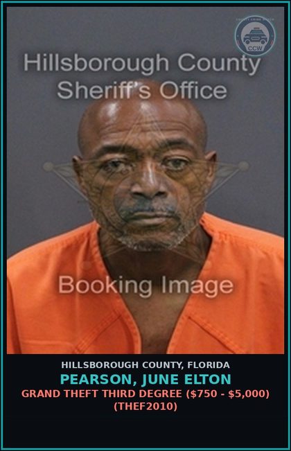 CCW arrest card for PEARSON, JUNE ELTON in Hillsborough County: GRAND THEFT THIRD DEGREE ($750 - $5,000) (THEF2010)