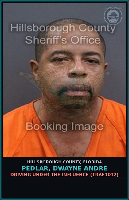 CCW arrest card for PEDLAR, DWAYNE ANDRE in Hillsborough County: DRIVING UNDER THE INFLUENCE (TRAF1012)