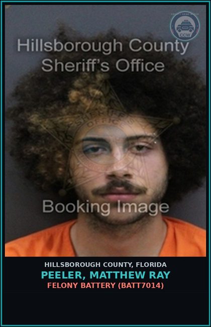 CCW arrest card for PEELER, MATTHEW RAY in Hillsborough County: FELONY BATTERY (BATT7014)