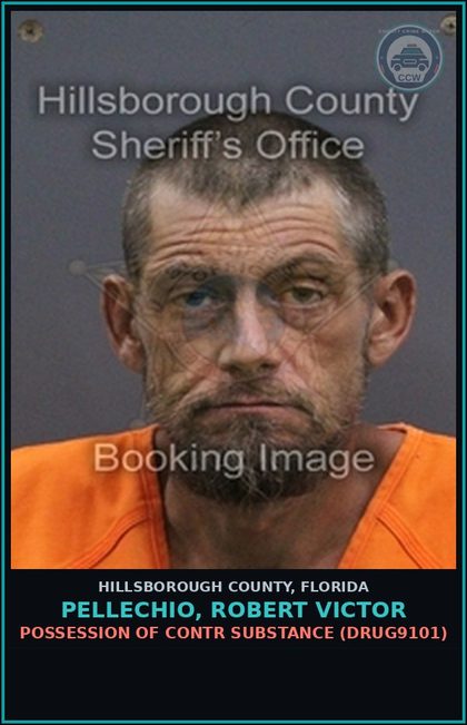 CCW arrest card for PELLECHIO, ROBERT VICTOR in Hillsborough County: POSSESSION OF contr substance (DRUG9101)