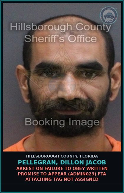 CCW arrest card for PELLEGRAN, DILLON JACOB in Hillsborough County: ARREST ON FAILURE TO OBEY WRITTEN PROMISE TO APPEAR (ADMIN023) FTA ATTACHING TAG NOT ASSIGNED