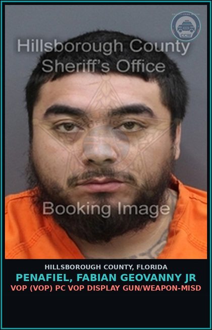 CCW arrest card for PENAFIEL, FABIAN GEOVANNY JR in Hillsborough County: VOP (VOP) PC VOP DISPLAY GUN/WEAPON-MISD