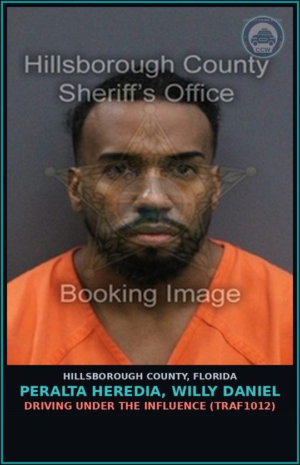 CCW arrest card for PERALTA HEREDIA, WILLY DANIEL in Hillsborough County: DRIVING UNDER THE INFLUENCE (TRAF1012)