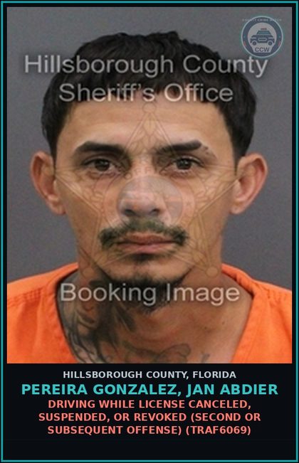 CCW arrest card for PEREIRA GONZALEZ, JAN ABDIER in Hillsborough County: DRIVING WHILE LICENSE CANCELED, SUSPENDED, OR REVOKED (SECOND OR SUBSEQUENT OFFENSE) (TRAF6069)