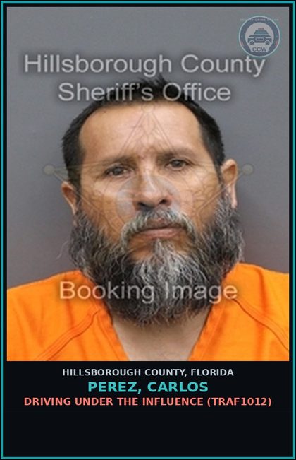 CCW arrest card for PEREZ, CARLOS in Hillsborough County: DRIVING UNDER THE INFLUENCE (TRAF1012)