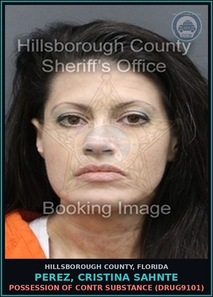 CCW arrest card for PEREZ, CRISTINA SAHNTE in Hillsborough County: POSSESSION OF contr substance (DRUG9101)