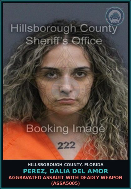 CCW arrest card for PEREZ, DALIA DEL AMOR in Hillsborough County: AGGRAVATED ASSAULT WITH DEADLY WEAPON (ASSA5005)