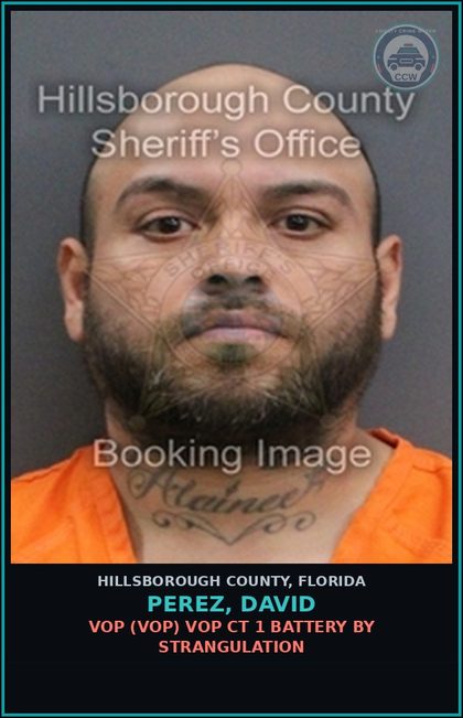 CCW arrest card for PEREZ, DAVID in Hillsborough County: VOP (VOP) VOP CT 1 BATTERY BY STRANGULATION