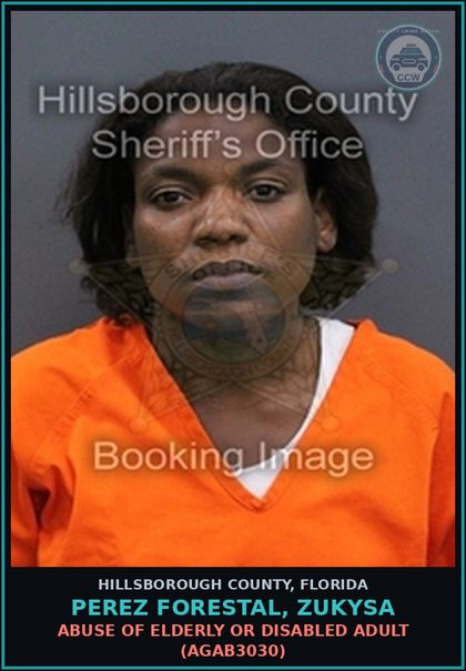 CCW arrest card for PEREZ FORESTAL, ZUKYSA in Hillsborough County: ABUSE OF ELDERLY OR DISABLED ADULT (AGAB3030)