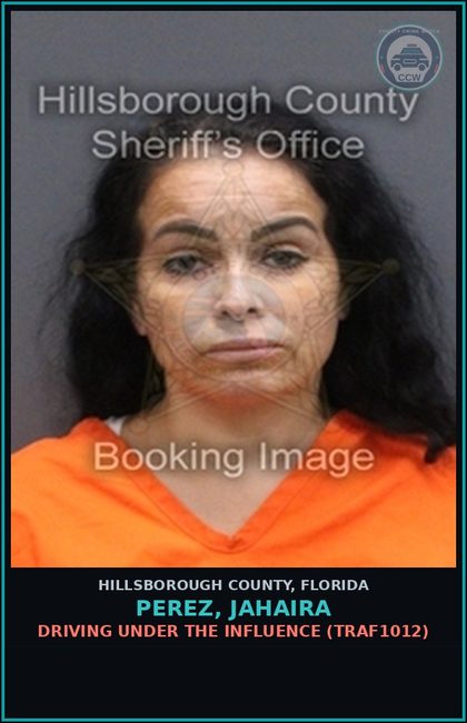 CCW arrest card for PEREZ, JAHAIRA in Hillsborough County: DRIVING UNDER THE INFLUENCE (TRAF1012)