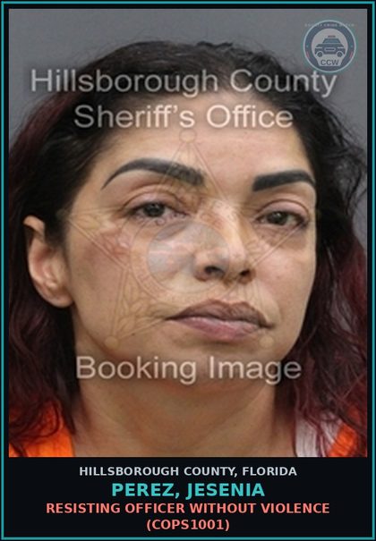 CCW arrest card for PEREZ, JESENIA in Hillsborough County: DRIVING UNDER THE INFLUENCE (TRAF1012)