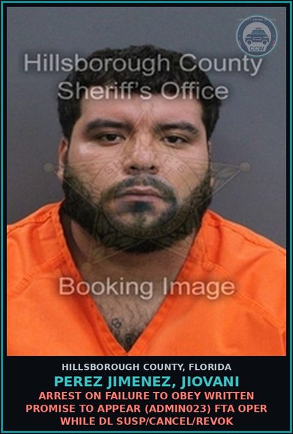 CCW arrest card for PEREZ JIMENEZ, JIOVANI in Hillsborough County: ARREST ON FAILURE TO OBEY WRITTEN PROMISE TO APPEAR (ADMIN023) FTA OPER WHILE DL SUSP/CANCEL/REVOK