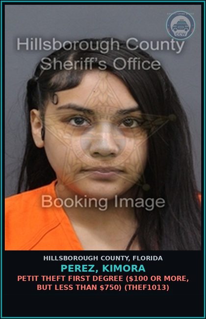 CCW arrest card for PEREZ, KIMORA in Hillsborough County: PETIT THEFT FIRST DEGREE ($100 OR MORE, BUT LESS THAN $750) (THEF1013)