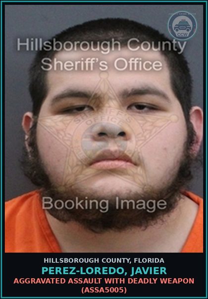 CCW arrest card for PEREZ-LOREDO, JAVIER in Hillsborough County: SHOOTING AT WITHIN OR INTO A VEHICLE (WEAP4050) [NO BOND]