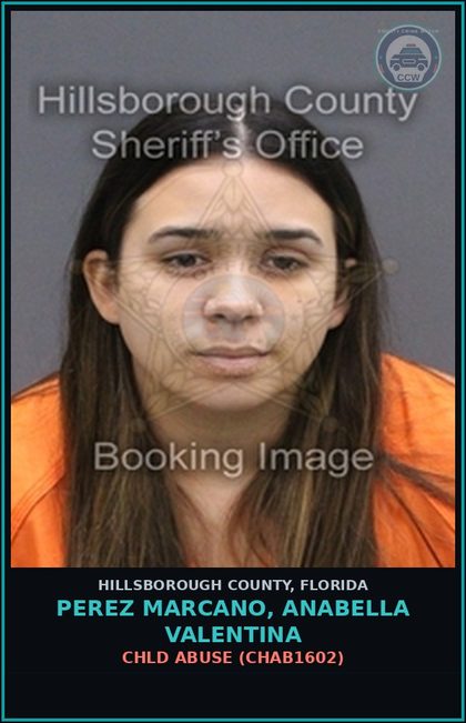 CCW arrest card for PEREZ MARCANO, ANABELLA VALENTINA in Hillsborough County: chld ABUSE (CHAB1602)