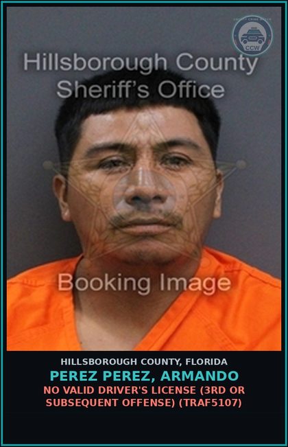 CCW arrest card for PEREZ PEREZ, ARMANDO in Hillsborough County: NO VALID DRIVER'S LICENSE (3RD OR SUBSEQUENT OFFENSE) (TRAF5107)