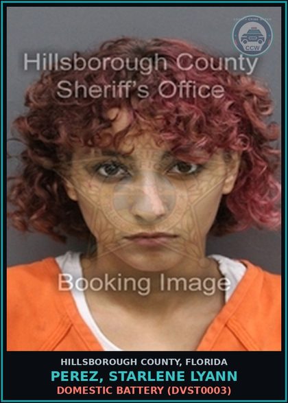 CCW arrest card for PEREZ, STARLENE LYANN in Hillsborough County: DOMESTIC BATTERY (DVST0003)