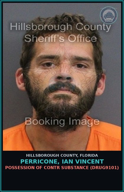 CCW arrest card for PERRICONE, IAN VINCENT in Hillsborough County: POSSESSION OF contr substance (DRUG9101)