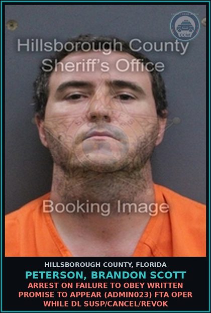 CCW arrest card for PETERSON, BRANDON SCOTT in Hillsborough County: ARREST ON FAILURE TO OBEY WRITTEN PROMISE TO APPEAR (ADMIN023) FTA OPER WHILE DL SUSP/CANCEL/REVOK